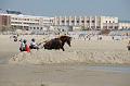 _D3X2218-Marathon des dunes de Fland
